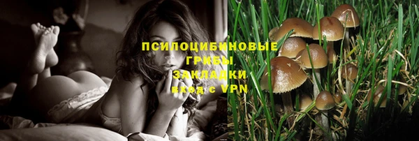 сатива Алексеевка